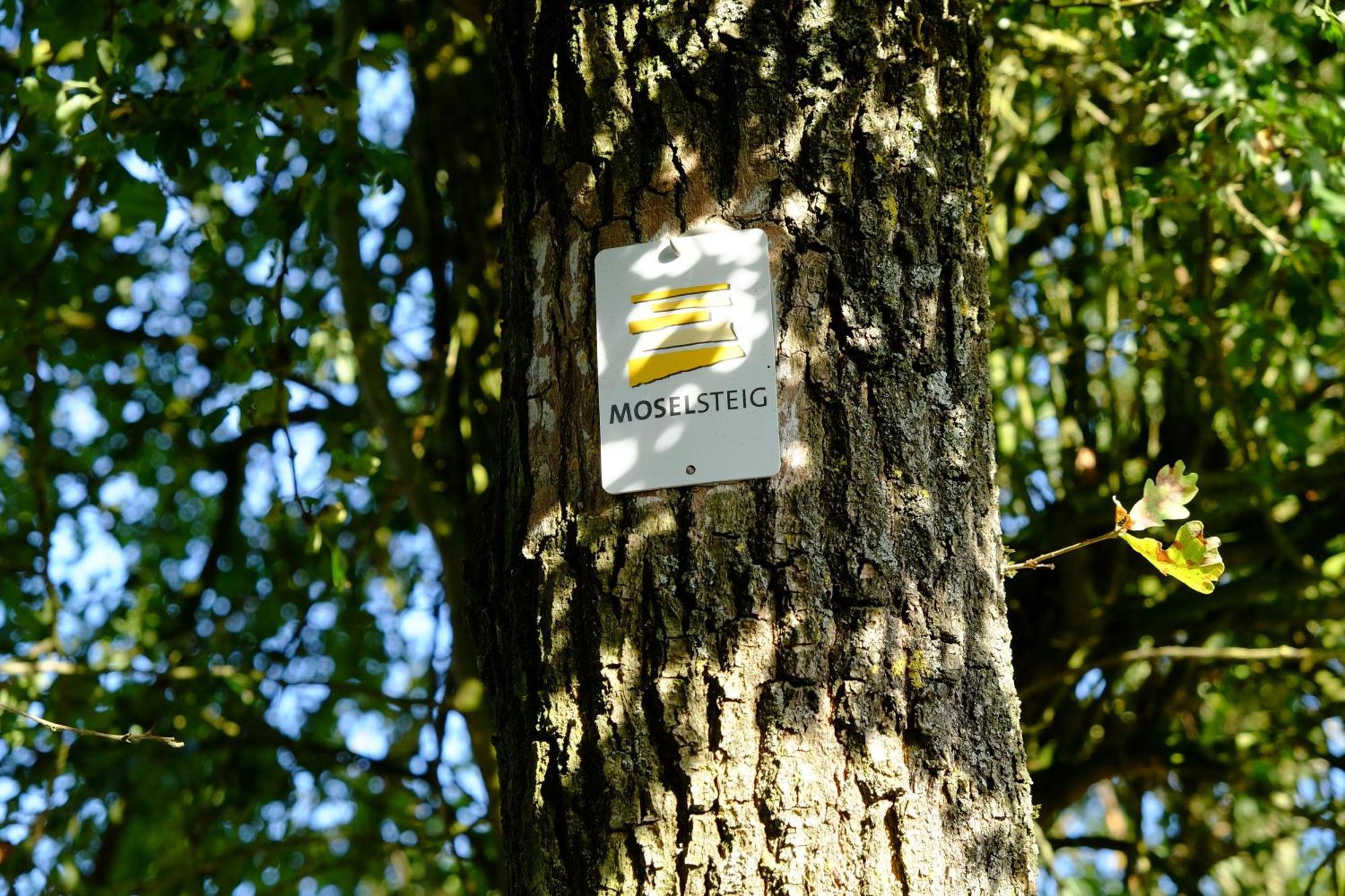 Ferienwohnung-Zum-Kueppchen Münstermaifeld エクステリア 写真